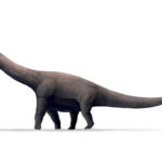 45 metrelik dev dinozor ve kaybolan fosillerin hikayesi